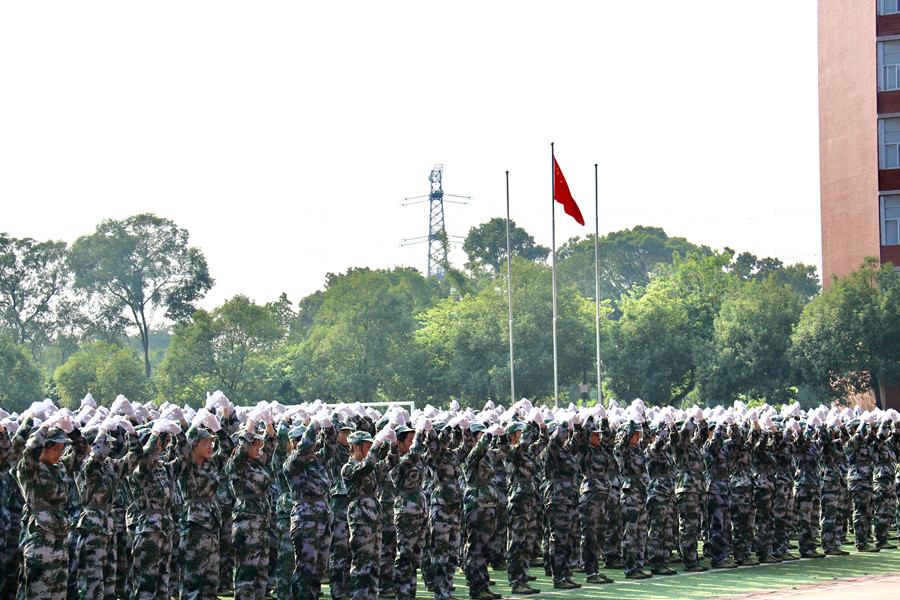 3044永利