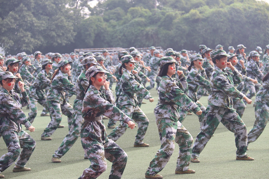 3044永利
