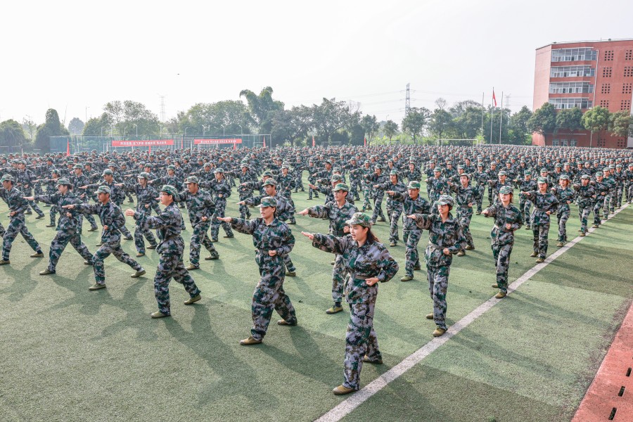 3044永利