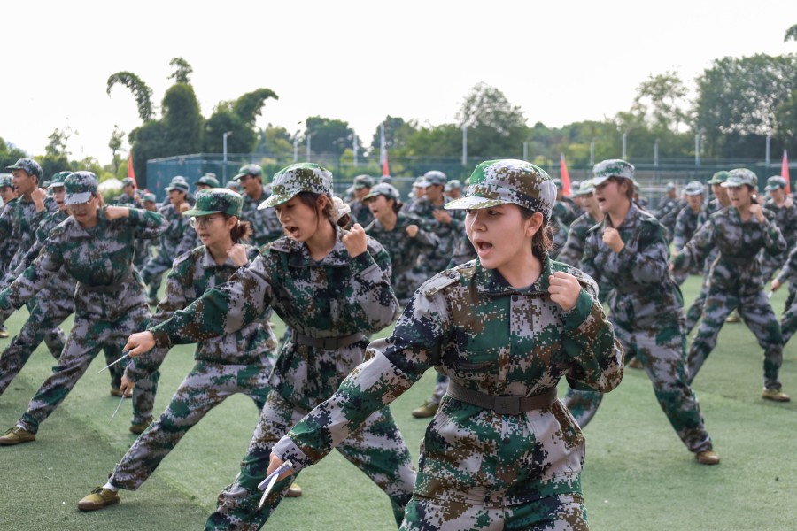 3044永利